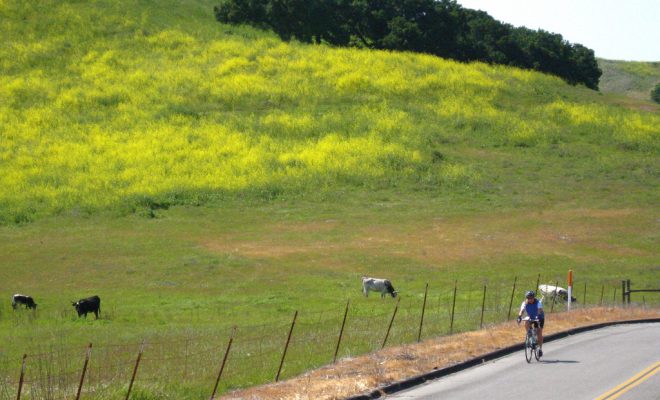 Cyclist